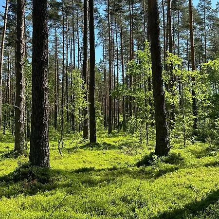 Dom wakacyjny Leśny Raj *